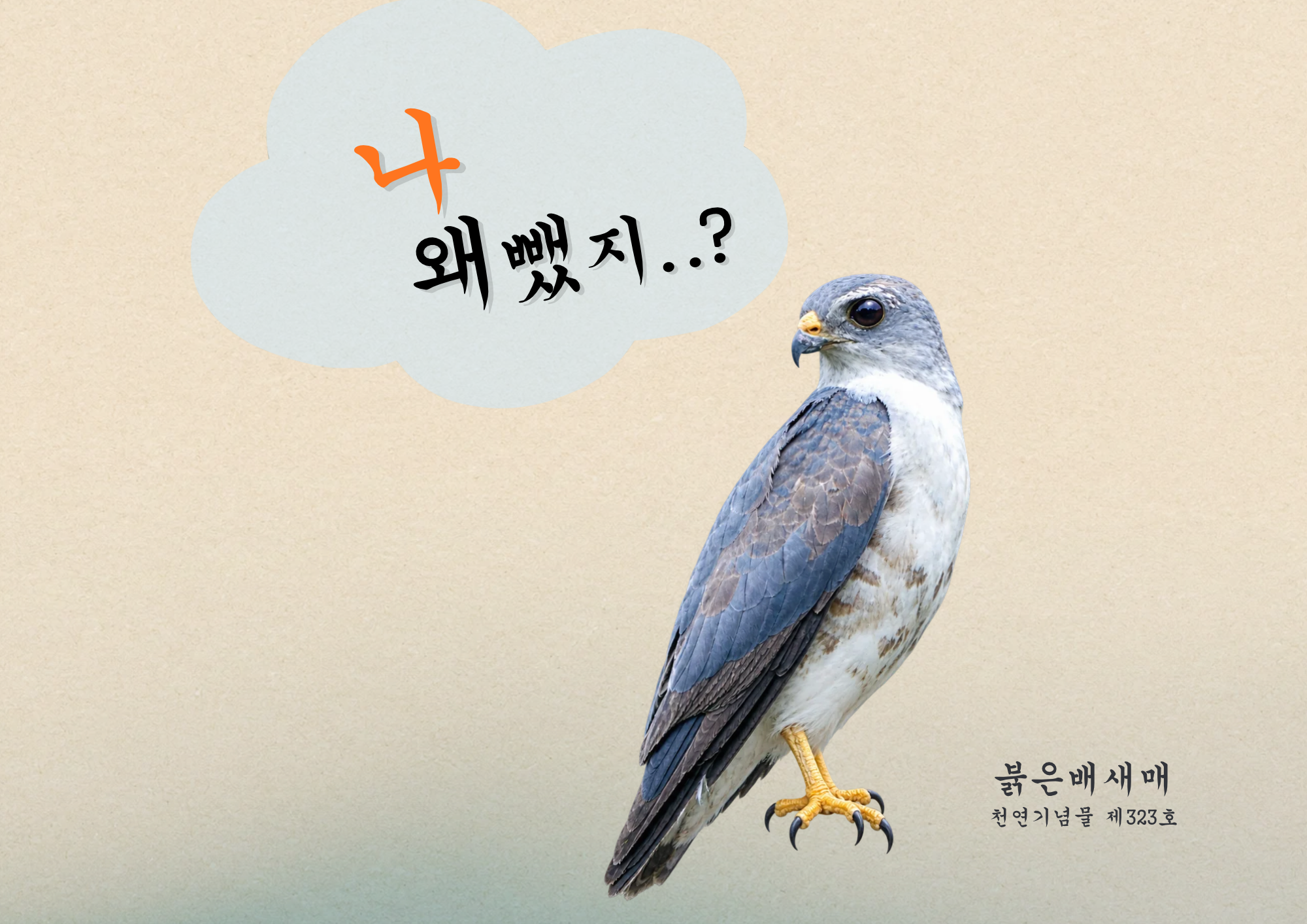 가덕도신공항 소송, 붉은배새매 이동 뺀 입지 평가 부실 지적